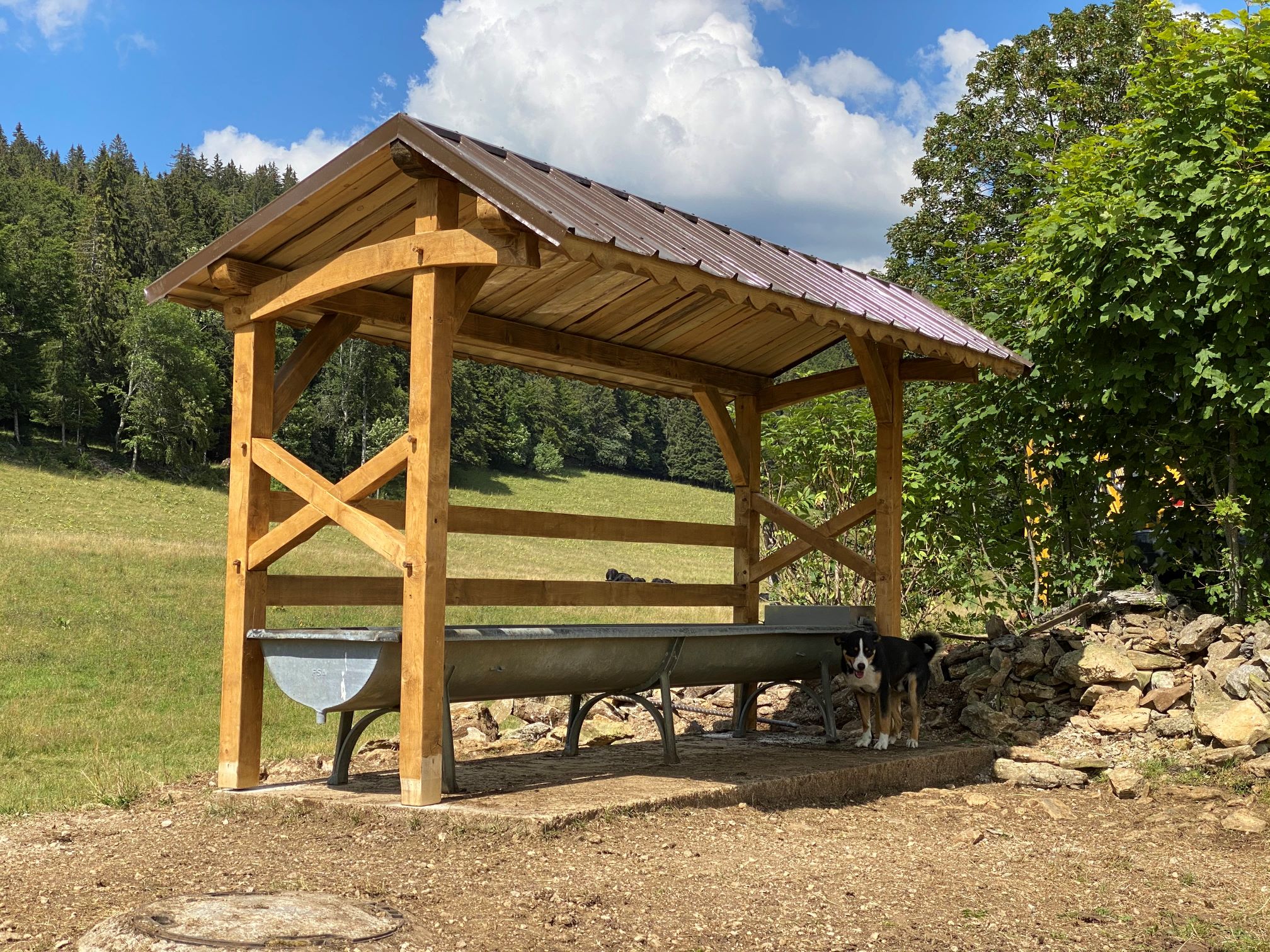 Détail 2 — abri d'abreuvoir aux croix de Saint-André