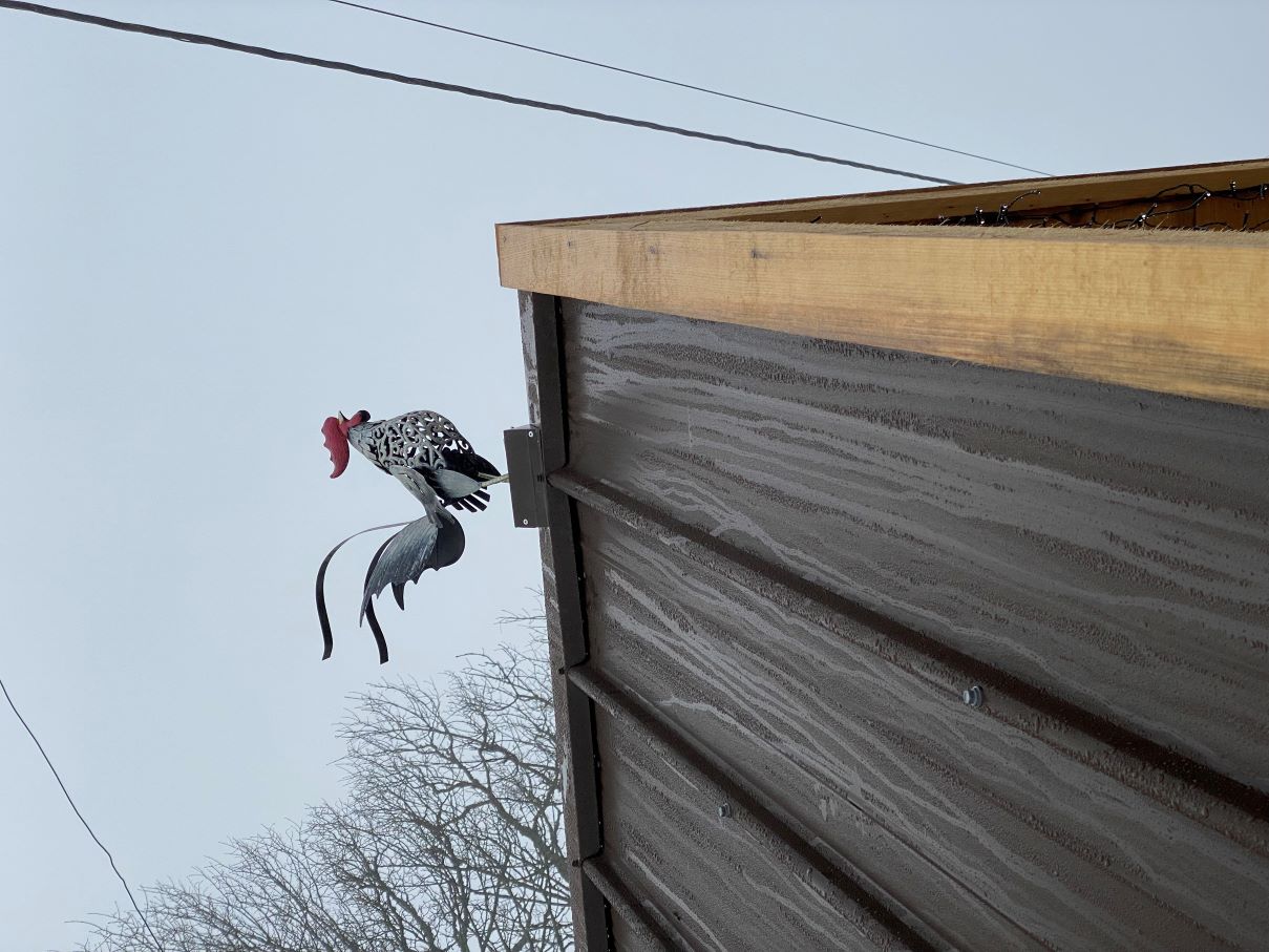 Détail 1 — girouette coq sur le faîtage