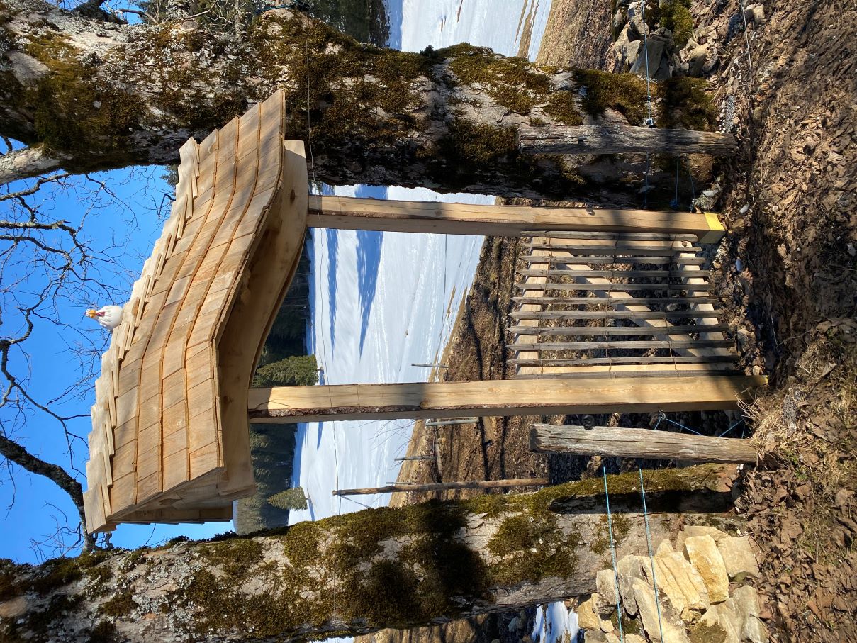 Portillon — arche au toit de tavaillons entre deux arbres, poule sculptée au faîte