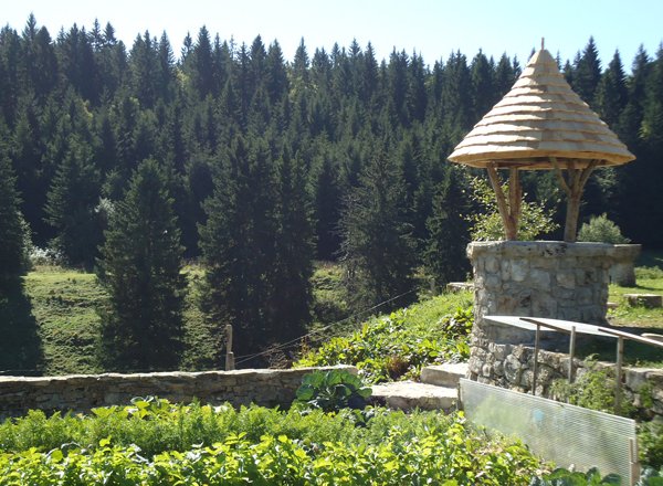 Détail 3 — le puits au-dessus du potager, forêt du Jura